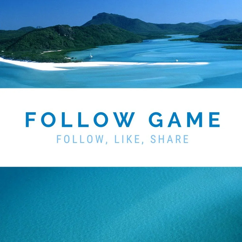 Follow Game!!! NEW SALE!!! - Picture 2 of 4
